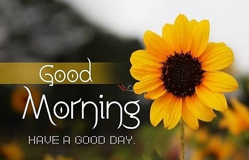 Good Morning: Top 200+ Best Quotes, Messages by Famous Authors