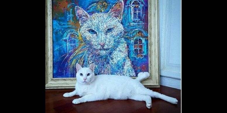 Deaf Cat Achilles in Russia Predict the Winner of Euro 2020